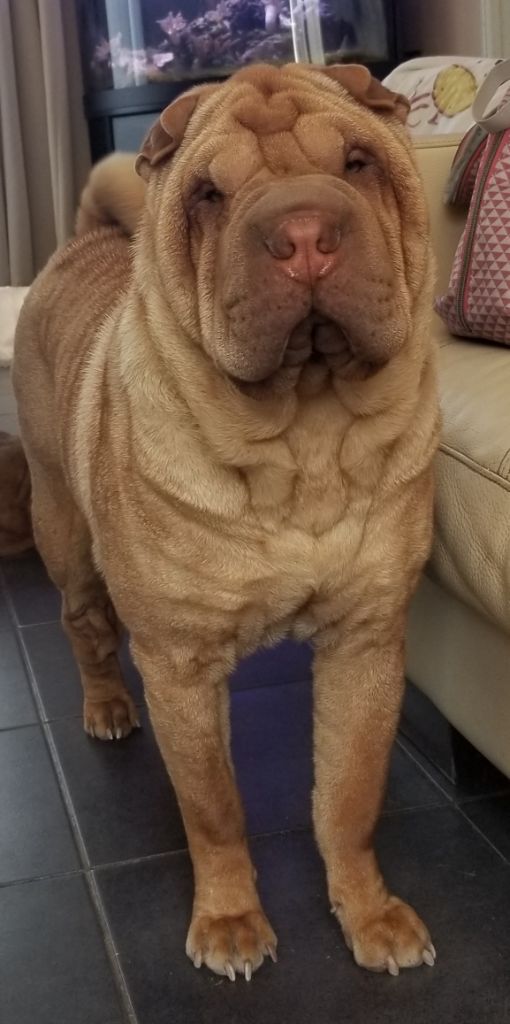 Nobody is as pretty as me du Nuorilang