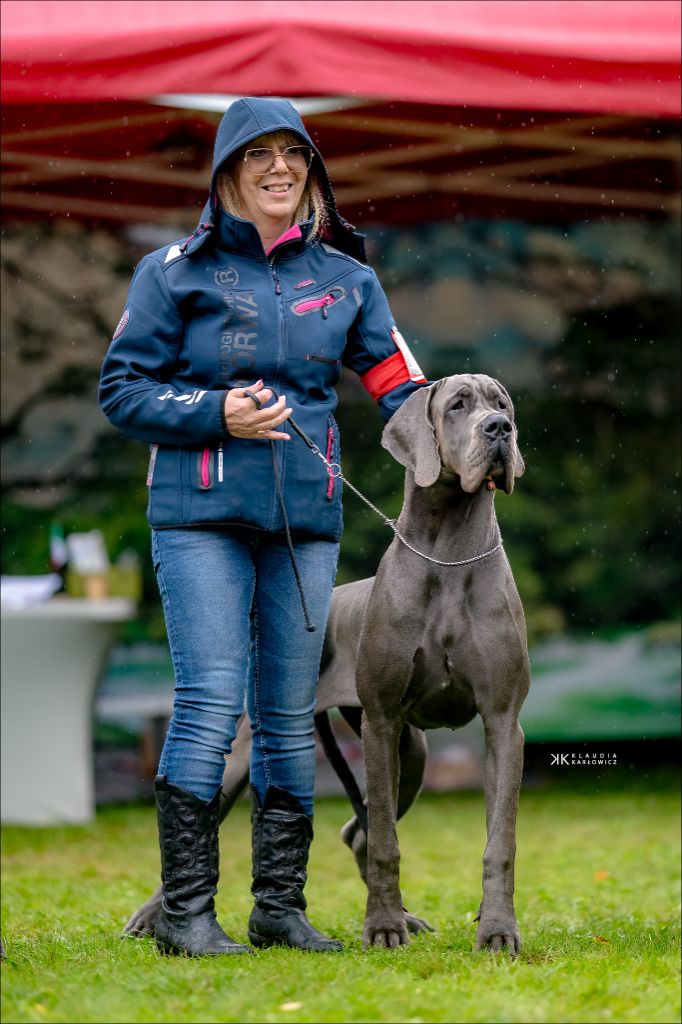 Venezia de la Benjamine